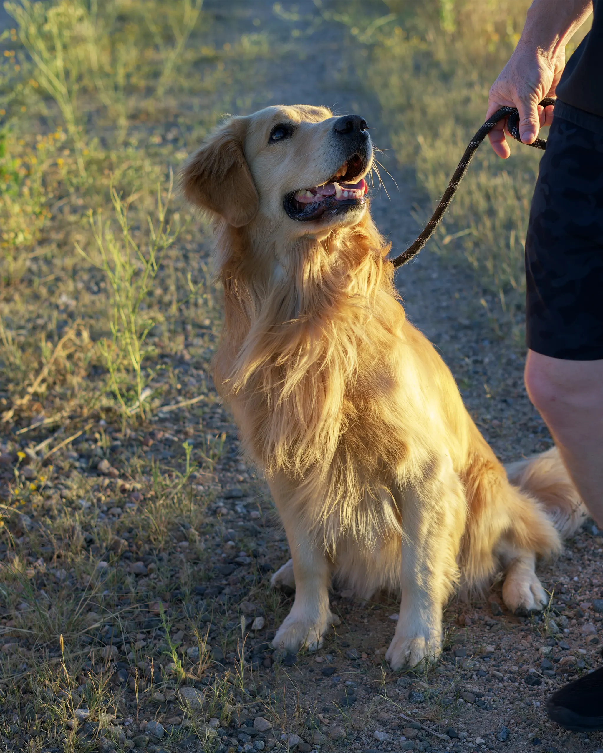 Kynologické služby Resort & Spa in Prescott - Dog Trail Hikes